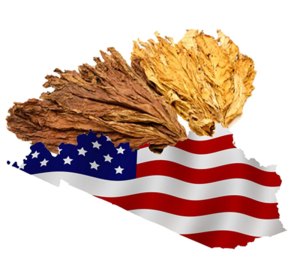 Tabacco N° 11 - American Blend - PL (Dromedary)