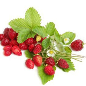 E-Liquid - 190 - Wilde Erdbeere