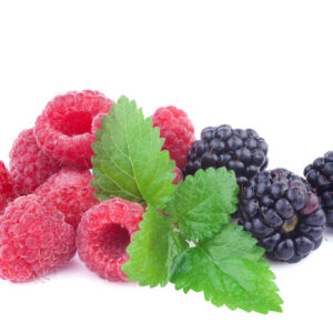 E-Liquid - 289 - Exotic-Ice