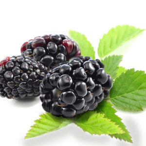 Brombeere