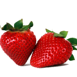 Erdbeere