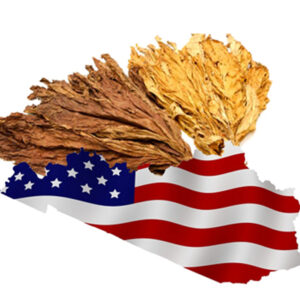 American Blend